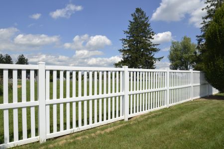 Fence Painting